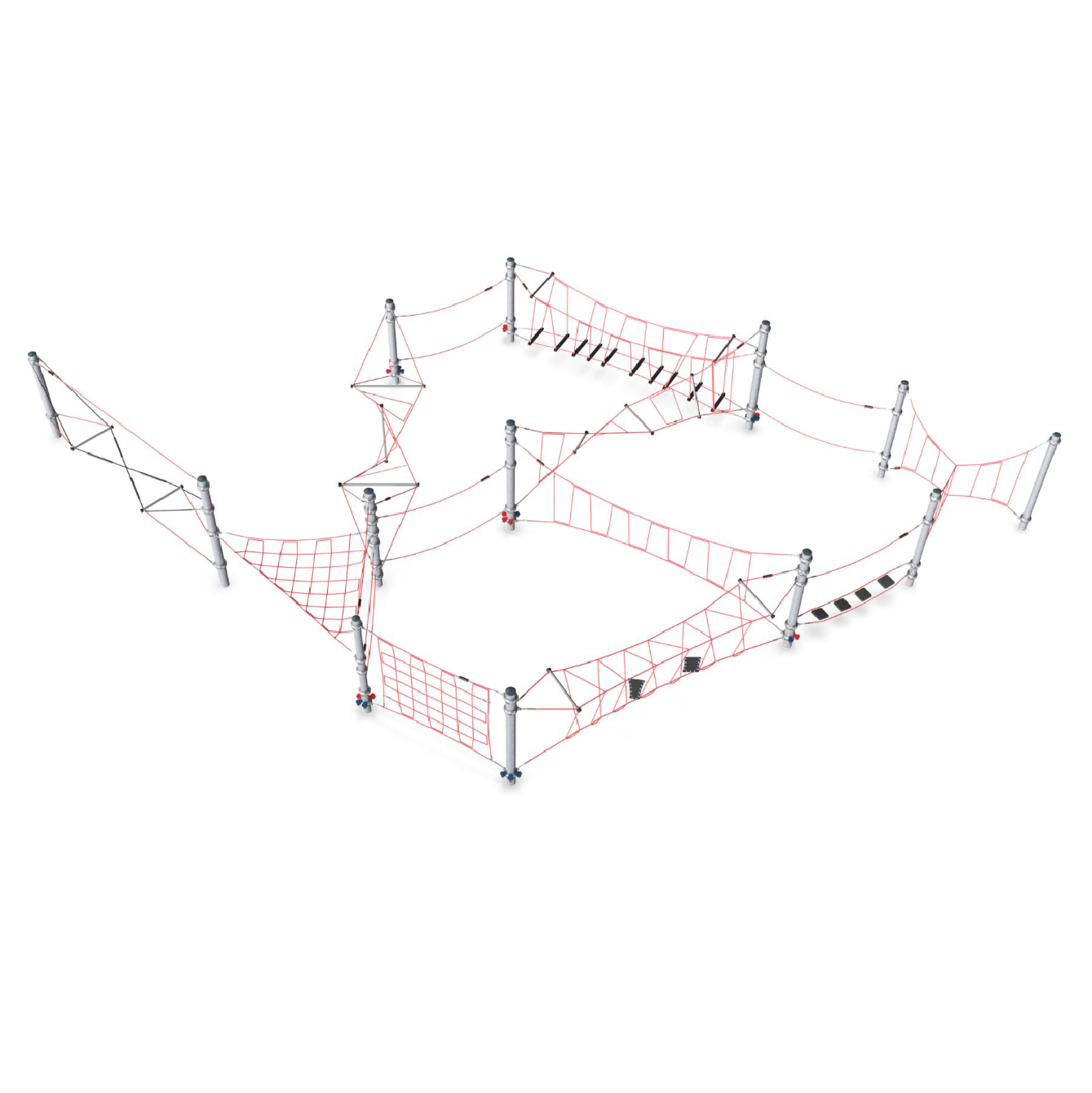 Camino del Tití Cabeciblanco CRP252301