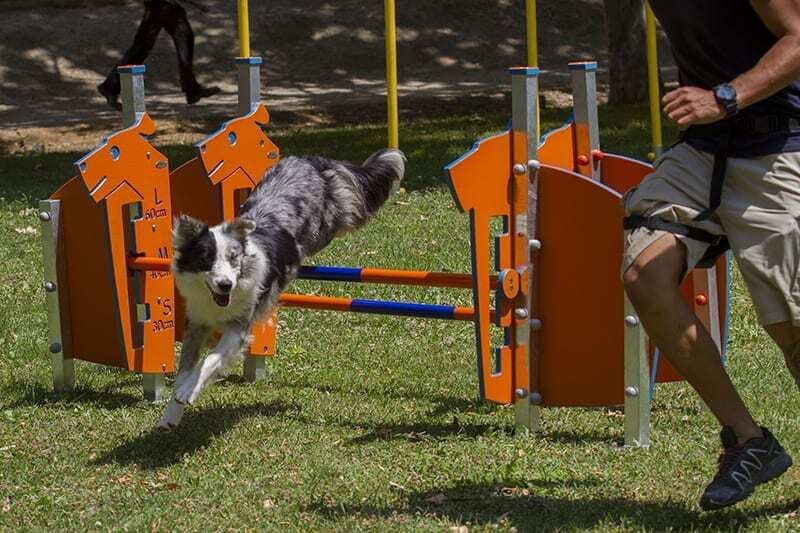 Valla de Salto Agrupada Agility R9006