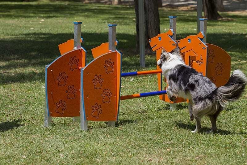 Valla de Salto Agrupada Agility R9006